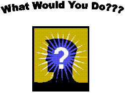 What Would You Do?